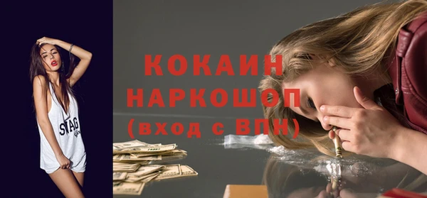 гашик Балахна