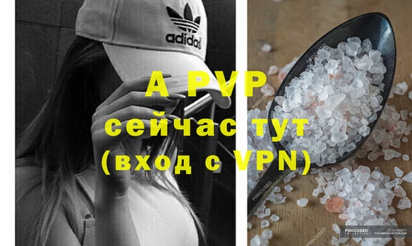 гашик Балахна