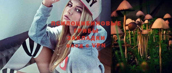 гашик Балахна
