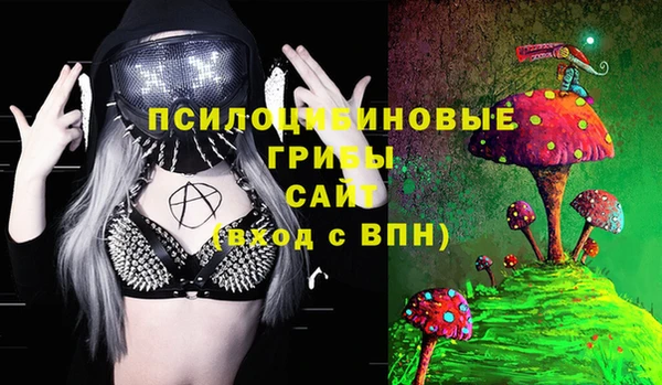 гашик Балахна