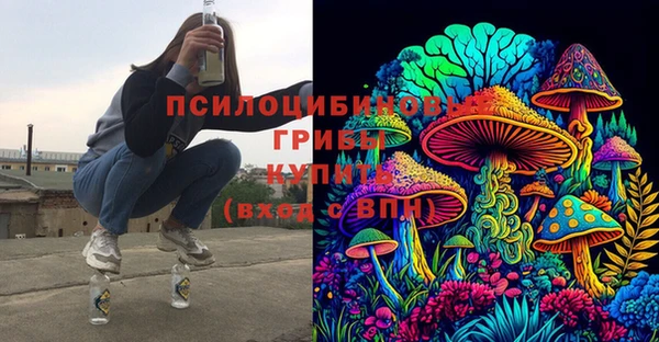 гашик Балахна