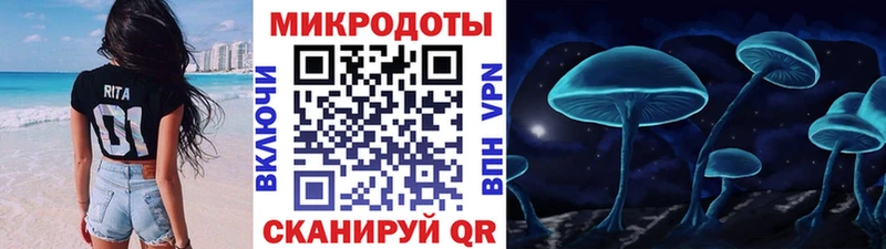 Псилоцибиновые грибы мицелий  даркнет клад  Светлогорск 