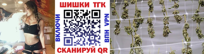 купить наркотик  Светлогорск  Шишки марихуана MAZAR 